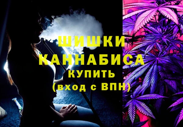 дживик Медвежьегорск