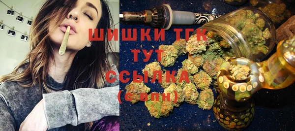 гидра Крымск