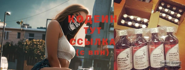 гидра Крымск