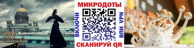 как найти Никольск Псилоцибиновые грибы GOLDEN TEACHER